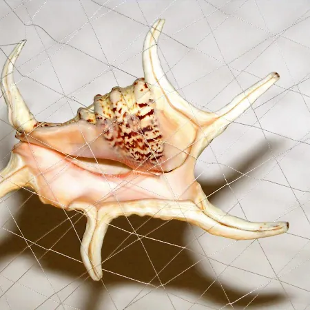 ドルチェ エステート アパート *