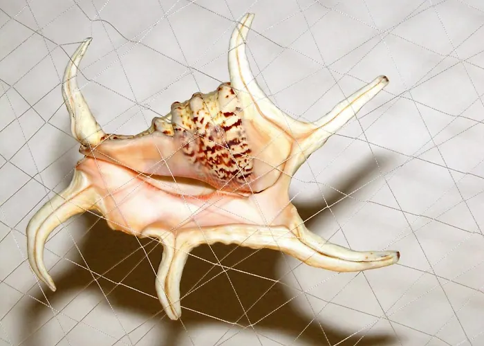 Dolce Estate Διαμέρισμα *