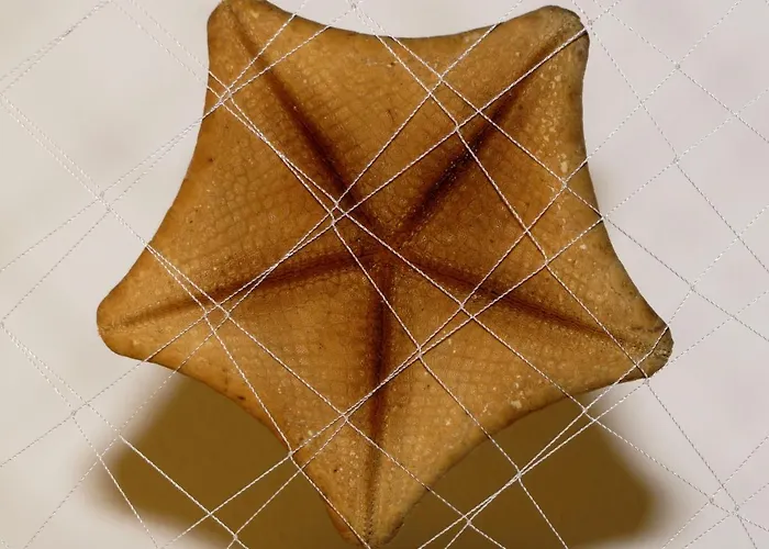 Dolce Estate דירה